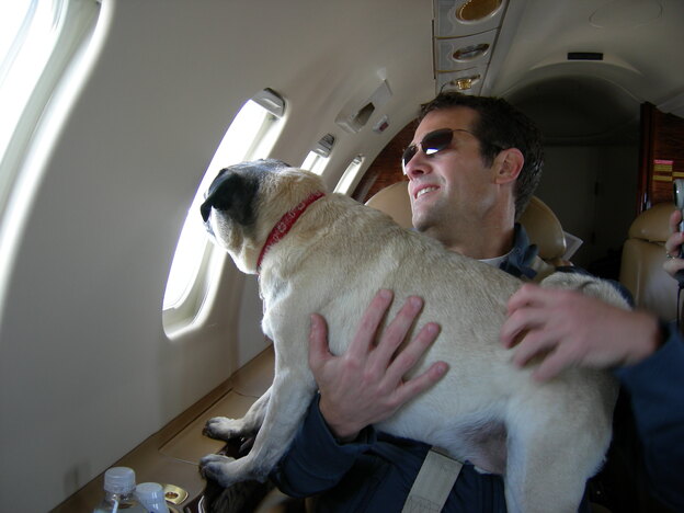 سفر هوایی با سگ