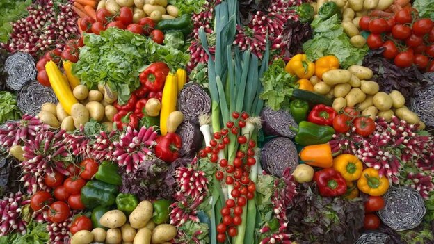 سبزیجات برای کشت توی باغچه