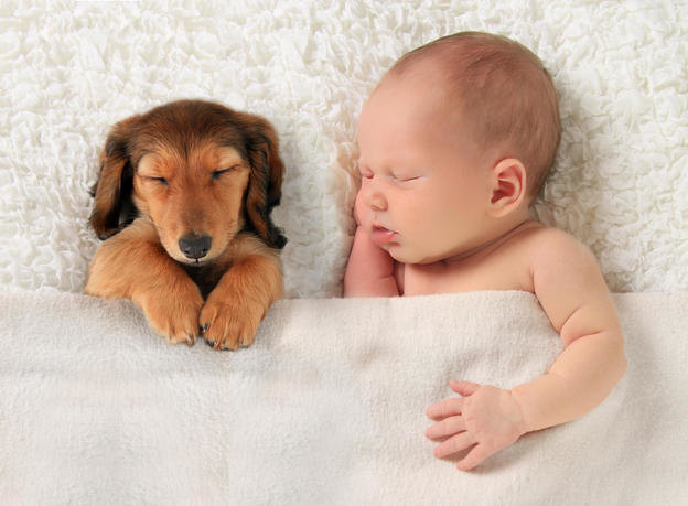 سگ و کودک