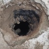 حفر چاه نو و کهنه تخلیه چاه با تانکر های بزرگ و کوچیک 
