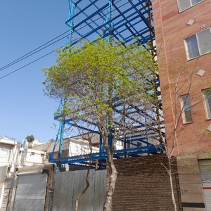 تصویر گالری