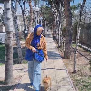 تصویر گالری