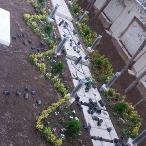 تصویر گالری