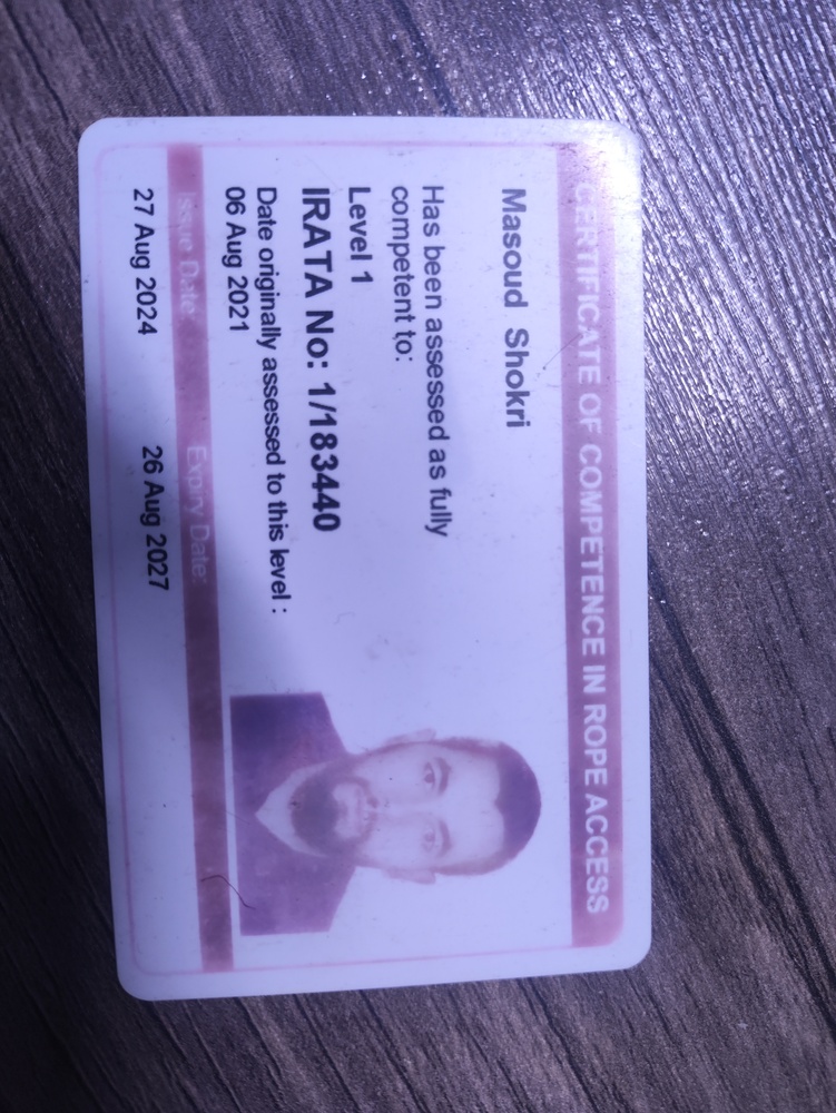نمونه کار مسعود شکری 11