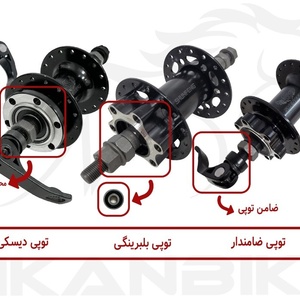 تصویر گالری
