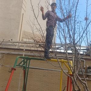 تصویر گالری