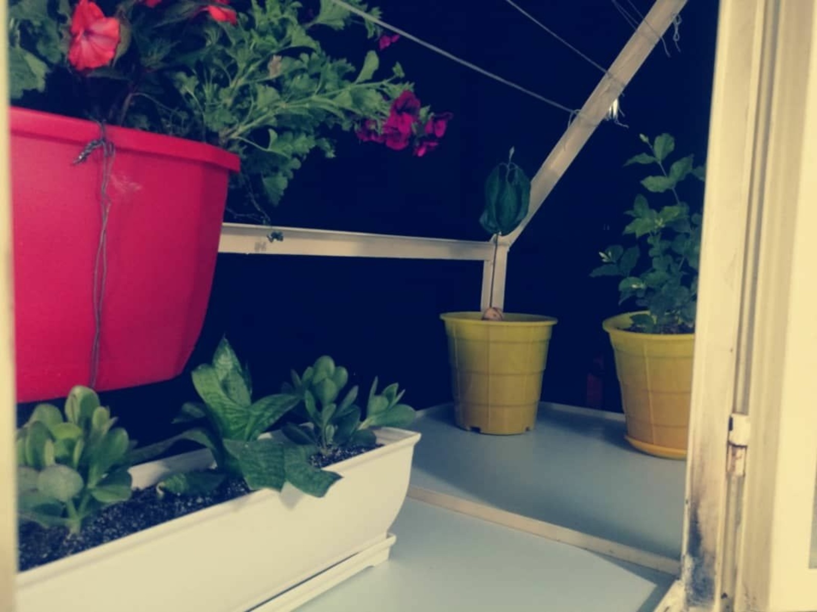 نمونه کار هادی بابائی 1