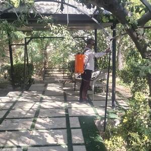 تصویر گالری