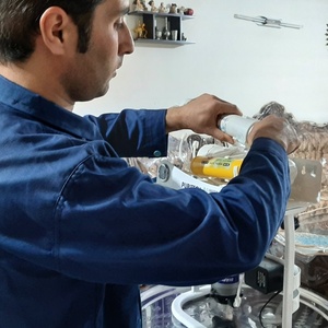 تصویر گالری