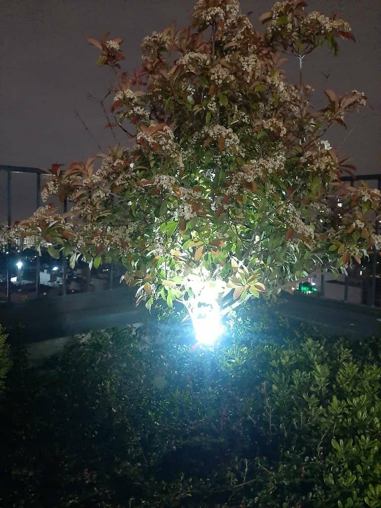 نمونه کار مجتبی جعفری 3