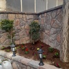 تزئین باغچه با درختچه یاس هلندی و گل های فصلی در مجیدیه ی شمالی شهید ک