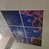 سقف اجرا شده آسمان مجازی ۶۰×۶۰