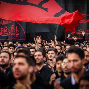 تصویر گالری