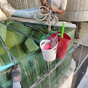 نمونه کار مسعود شکری 5