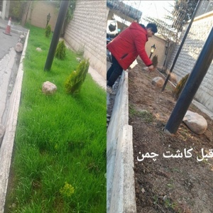 تصویر گالری