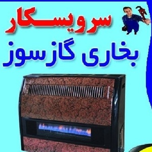 تصویر گالری
