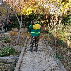 تصویر گالری