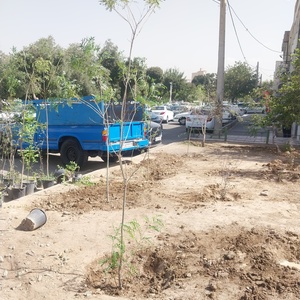 تصویر گالری
