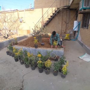 تصویر گالری