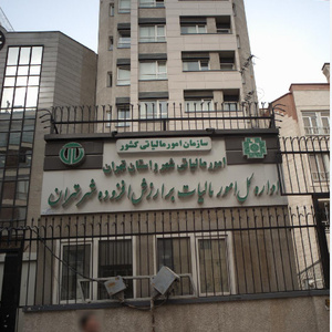 تصویر گالری