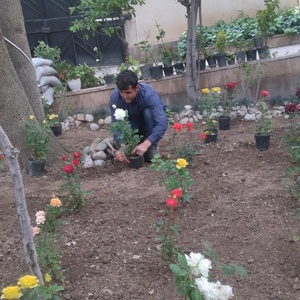 تصویر گالری