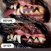 جرمگیری دندان
