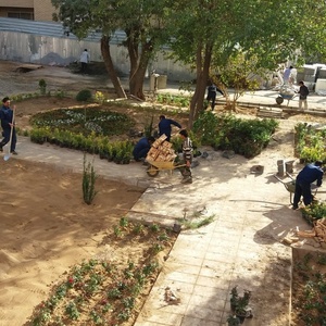 تصویر گالری