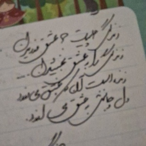 تصویر گالری