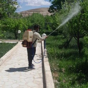 تصویر گالری