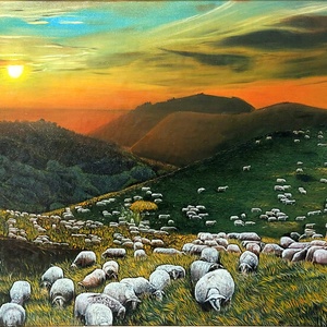 تصویر گالری