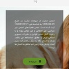 طراحی وب‌سایت انجمن حمایت از حیوانات مشهد.www.animalmp.ir