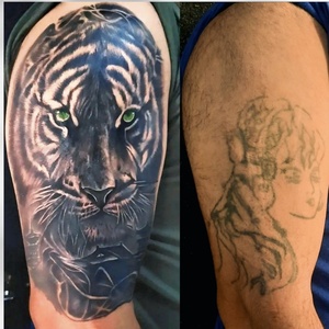 تصویر گالری