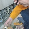 تعمیرات و عیب یابی هرنوع بردوالکترونیک انجام میشود