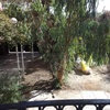 باغچه قبل از اجرای جدول کاری( تصویر بعداز انجام کار دقت کنید)