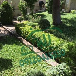 تصویر گالری