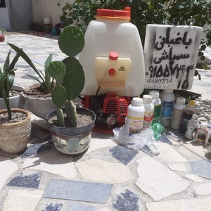 تصویر گالری