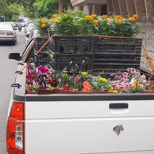 تصویر گالری