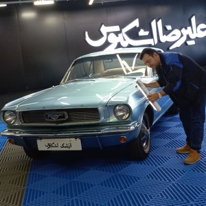 تصویر گالری