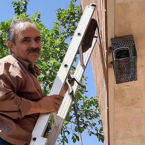 تصویر گالری