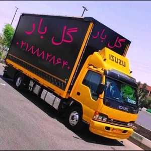 تصویر گالری