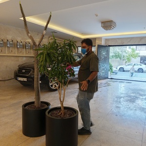 تصویر گالری
