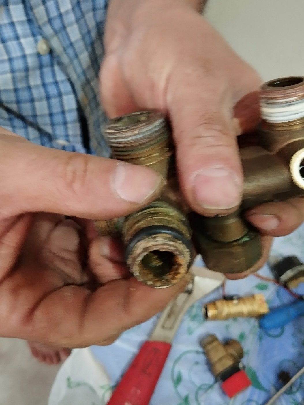 نمونه کار اردوان کاظم نژاد لیلی 1