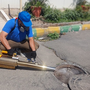 تصویر گالری