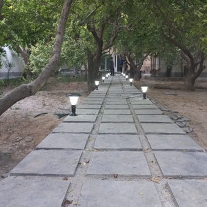 تصویر گالری