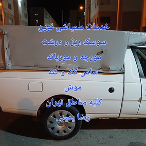 تصویر گالری