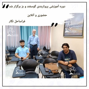 تصویر گالری