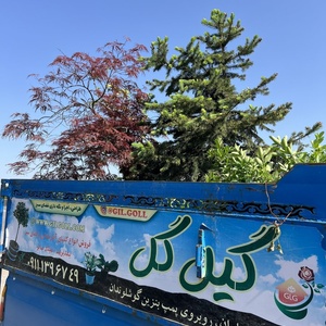 تصویر گالری