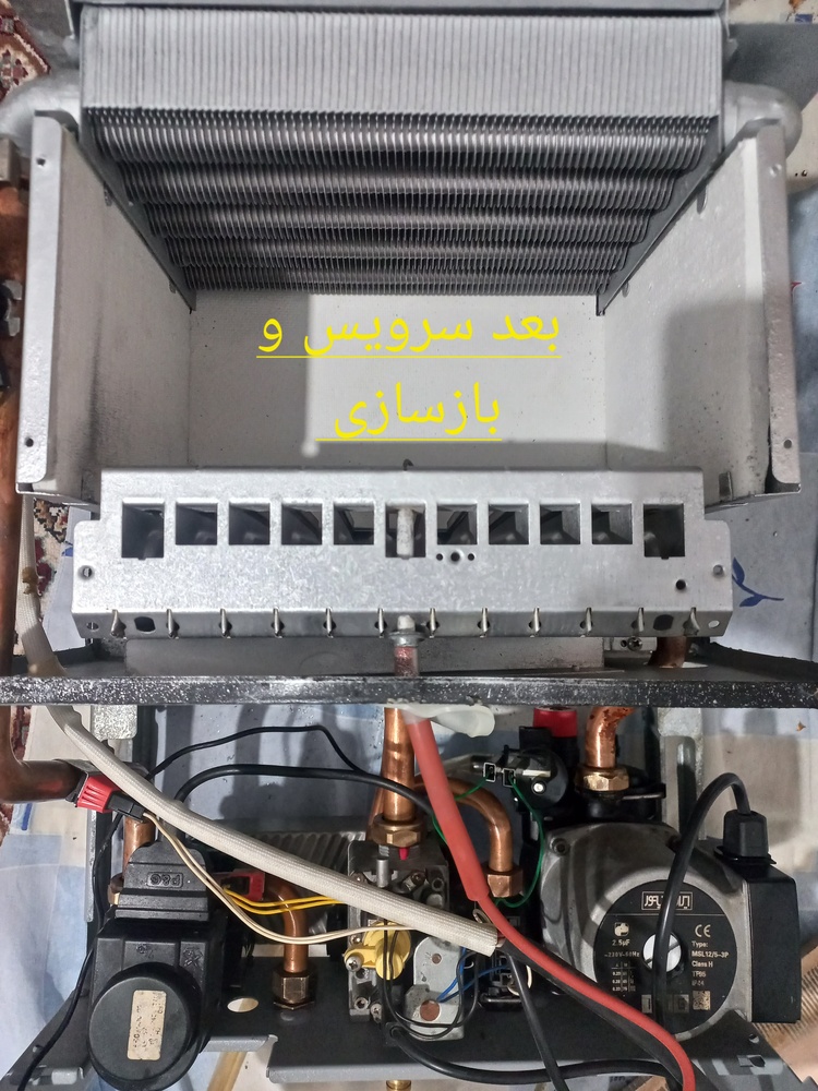 نمونه کار محمدرضا رجبی 1
