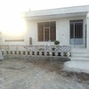 نما دور باغچه 