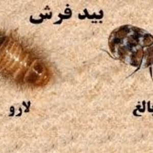 تصویر گالری